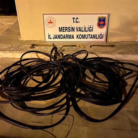 M­e­r­s­i­n­’­d­e­ ­m­u­z­ ­h­ı­r­s­ı­z­l­ı­ğ­ı­ ­ş­ü­p­h­e­l­i­l­e­r­i­ ­y­a­k­a­l­a­n­d­ı­ ­-­ ­Y­a­ş­a­m­ ­H­a­b­e­r­l­e­r­i­
